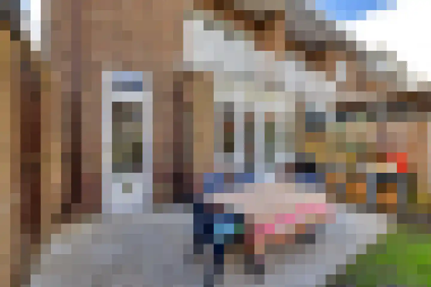 Louise de Colignystraat 34 Schiedam thumbnail 24