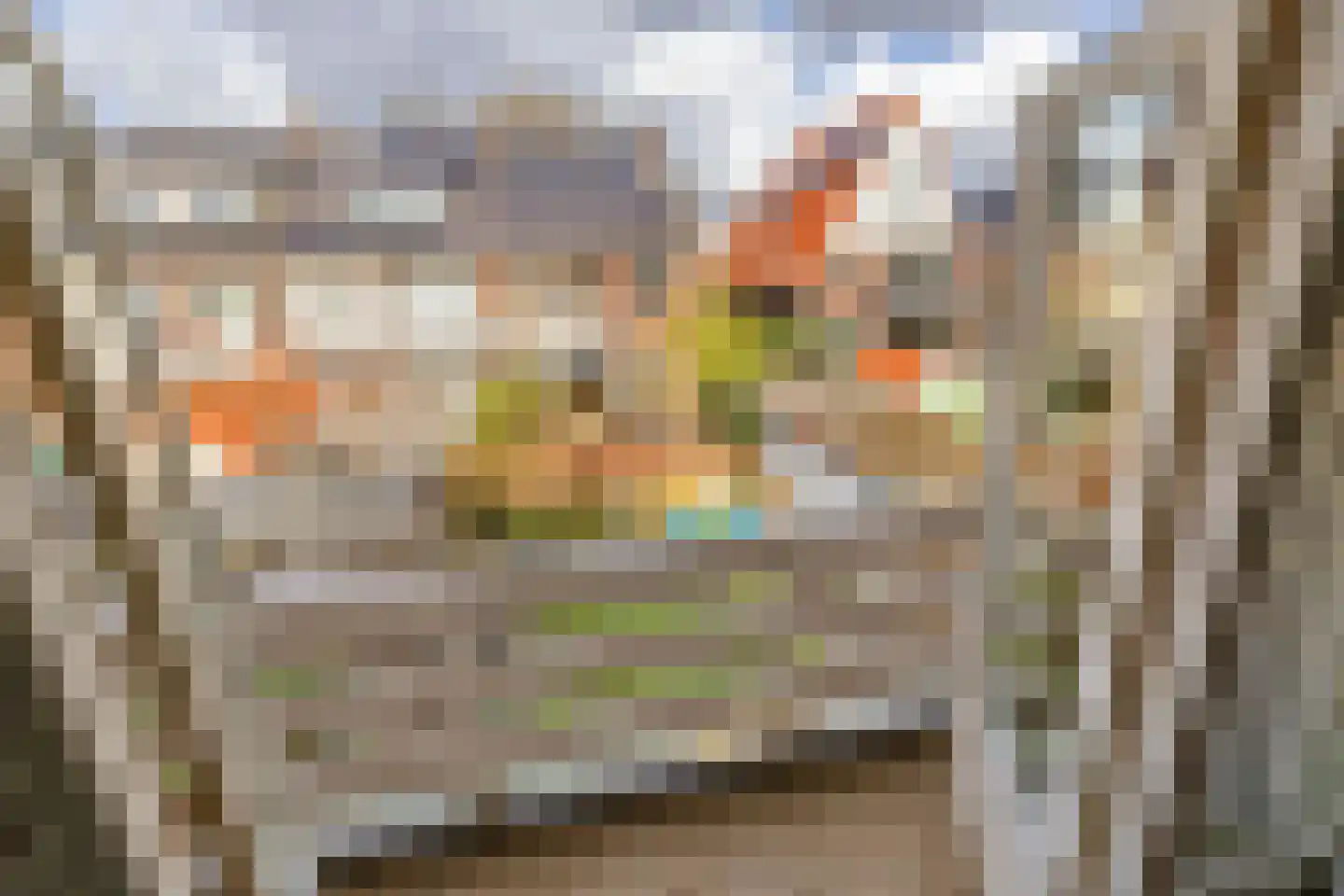 Louise de Colignystraat 34 Schiedam thumbnail 37