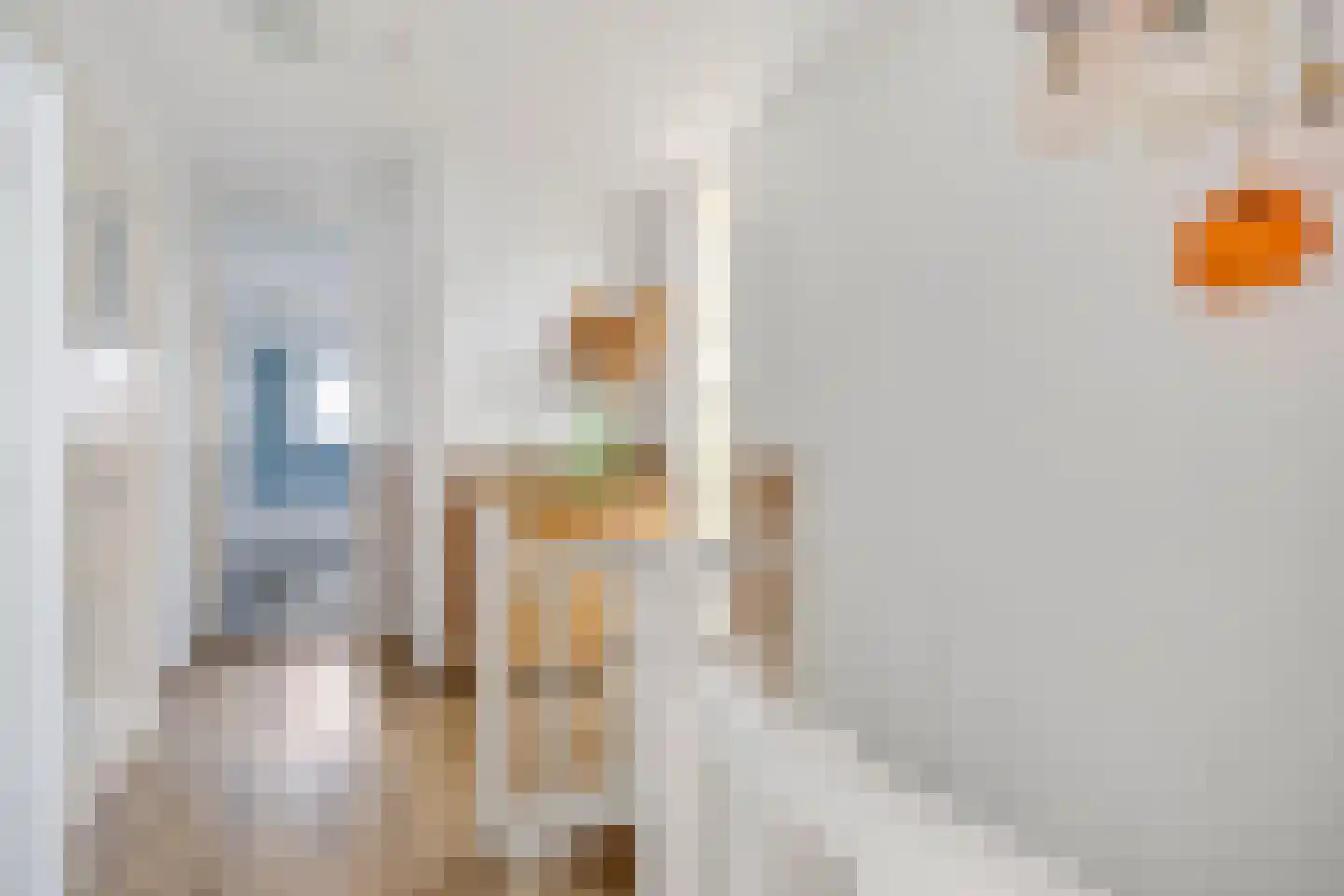 Louise de Colignystraat 34 Schiedam thumbnail 39
