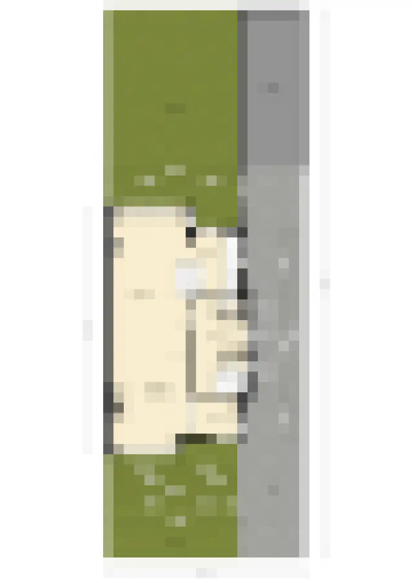 Louise de Colignystraat 34 Schiedam thumbnail 60