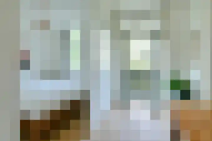 Louise de Colignystraat 36 1 Amsterdam thumbnail 13
