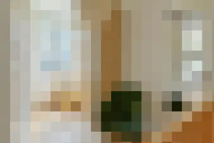 Louise de Colignystraat 36 1 Amsterdam thumbnail 15