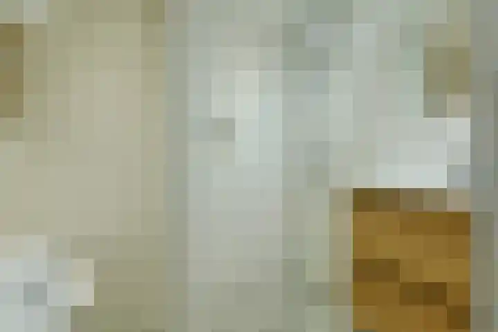 Louise de Colignystraat 36 1 Amsterdam thumbnail 17