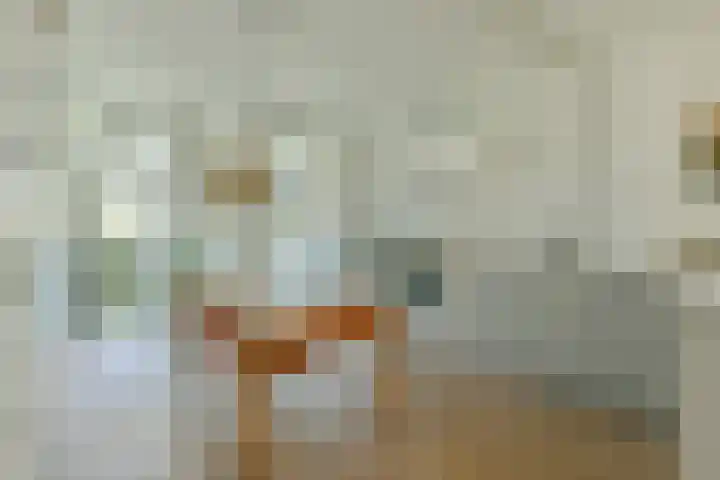 Louise de Colignystraat 36 1 Amsterdam thumbnail 5