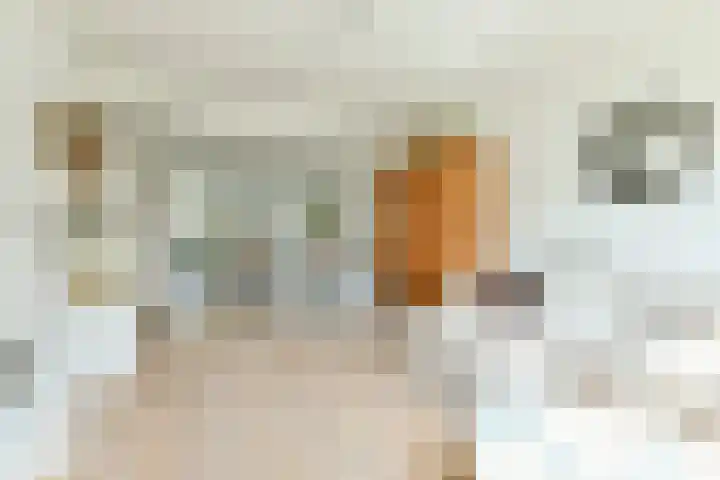 Louise de Colignystraat 36 1 Amsterdam thumbnail 7