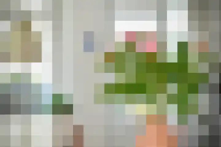 Louise de Colignystraat 36 1 Amsterdam thumbnail 8