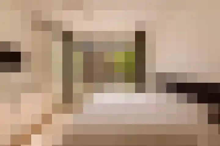 Louise de Colignystraat 40 1 Amsterdam thumbnail 12