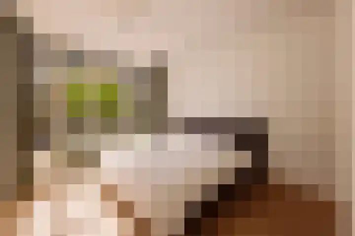 Louise de Colignystraat 40 1 Amsterdam thumbnail 13