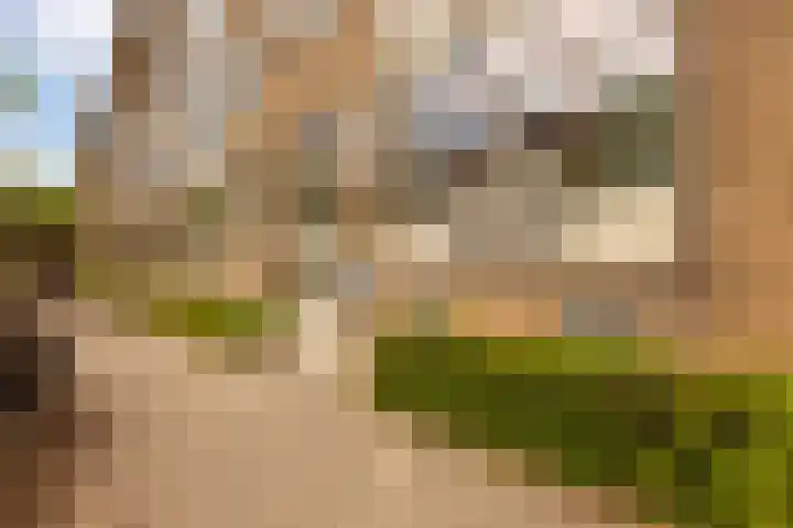 Louise de Colignystraat 40 1 Amsterdam thumbnail 20
