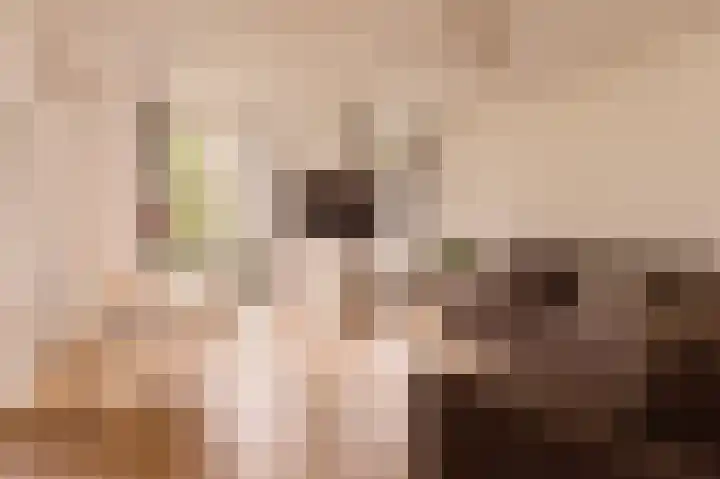 Louise de Colignystraat 40 1 Amsterdam thumbnail 5