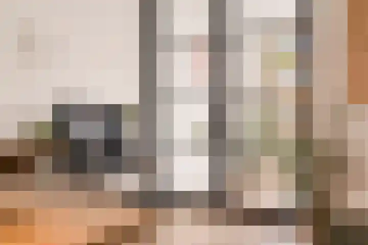 Louise de Colignystraat 42 2 Amsterdam thumbnail 13