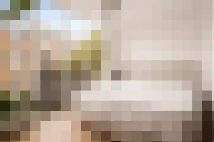 Louise de Colignystraat 42 2 Amsterdam thumbnail 16