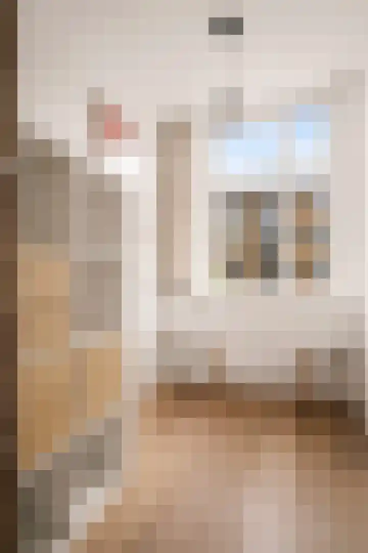 Louise de Colignystraat 42 2 Amsterdam thumbnail 23