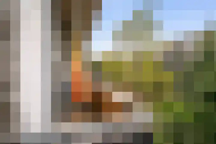 Louise de Colignystraat 42 2 Amsterdam thumbnail 33
