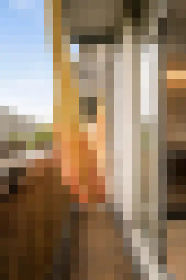 Louise de Colignystraat 42 2 Amsterdam thumbnail 35