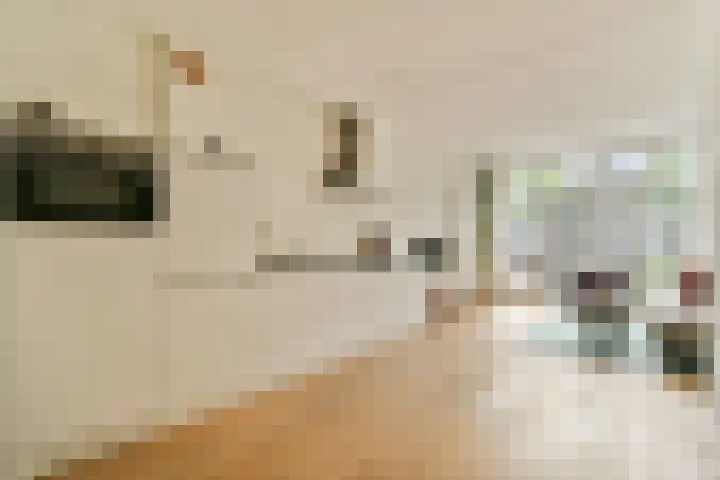 Louise de Colignystraat 48 H Amsterdam thumbnail 5