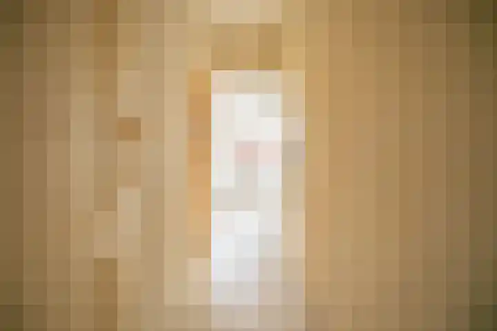 Louise de Colignystraat 5 Leiden thumbnail 17