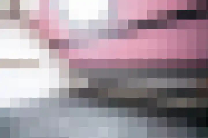 Louise de Colignystraat 5 Leiden thumbnail 33