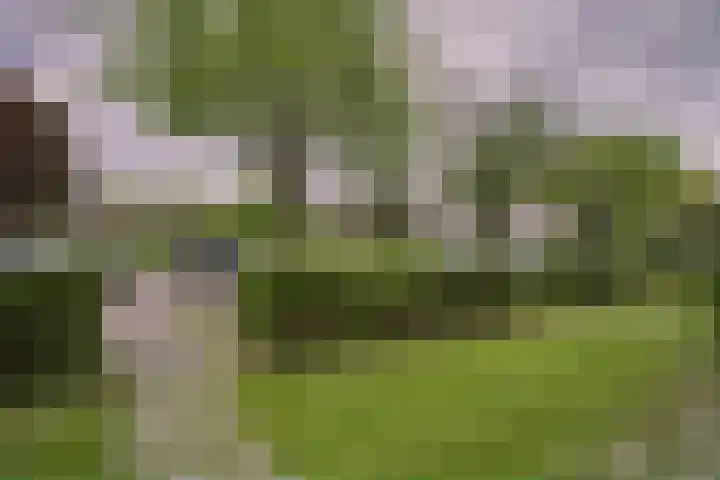 Louise de Colignystraat 5 Leiderdorp thumbnail 19