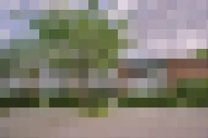Louise de Colignystraat 5 Leiderdorp thumbnail 23
