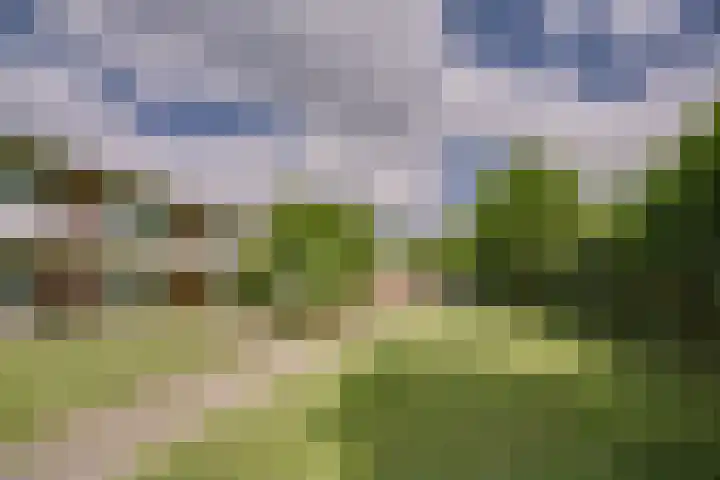 Louise de Colignystraat 5 Leiderdorp thumbnail 26