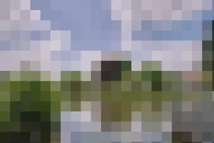 Louise de Colignystraat 5 Leiderdorp thumbnail 27