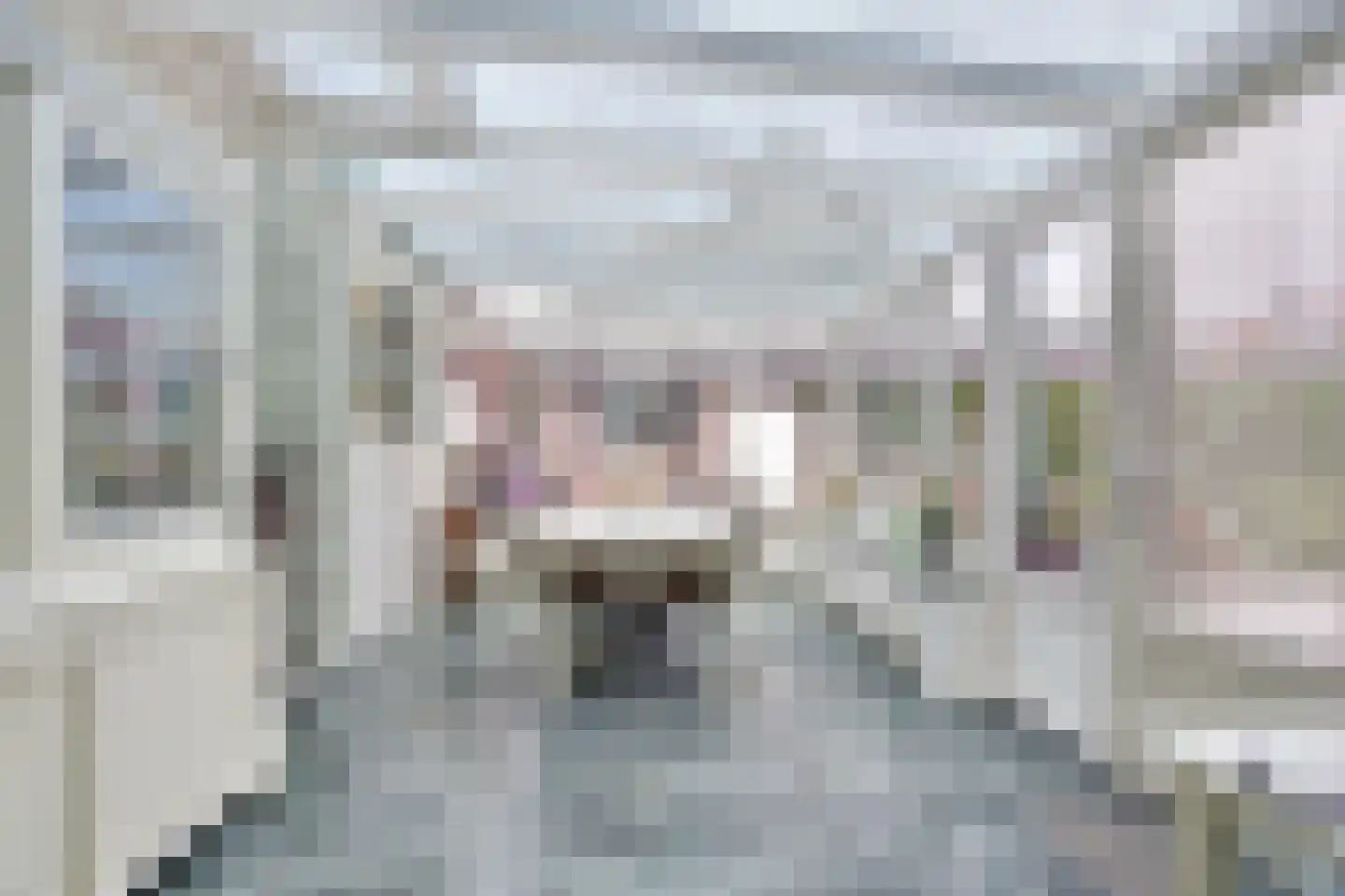 Louise de Colignystraat 5 Noord-Scharwoude thumbnail 18