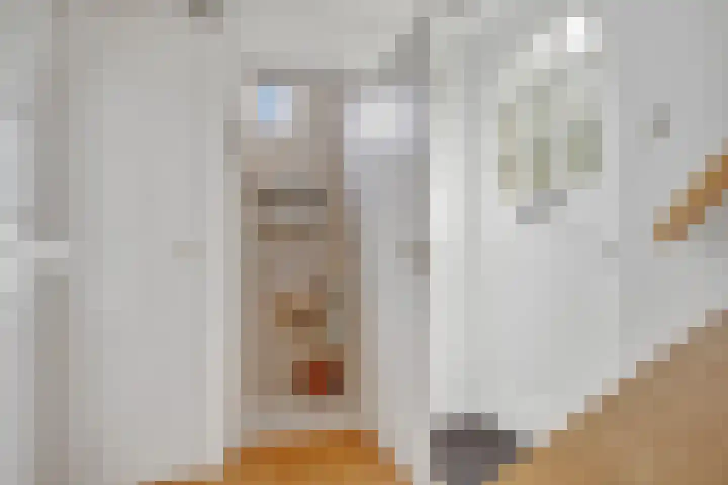 Louise de Colignystraat 5 Noord-Scharwoude thumbnail 20