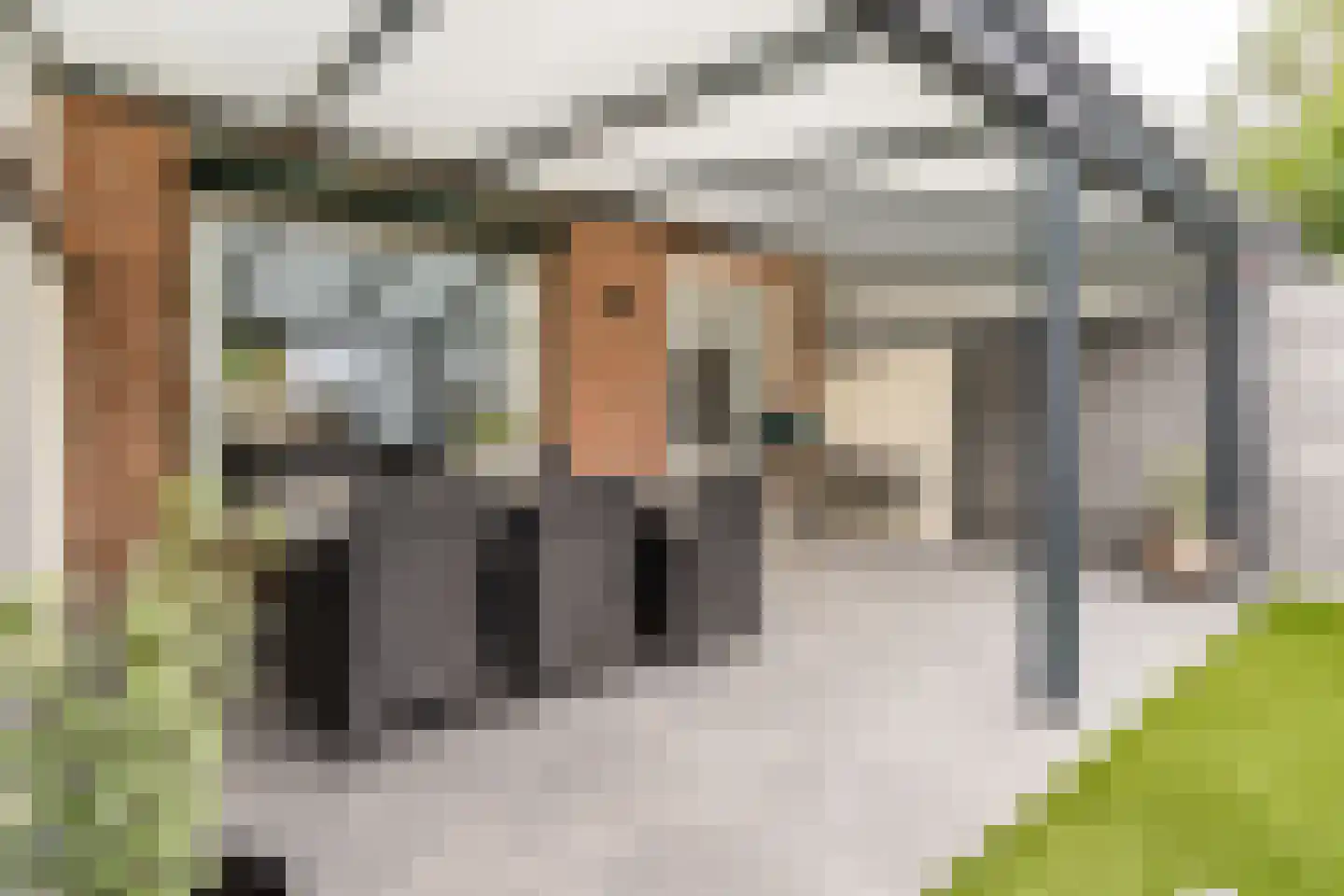 Louise de Colignystraat 5 Weert thumbnail 38