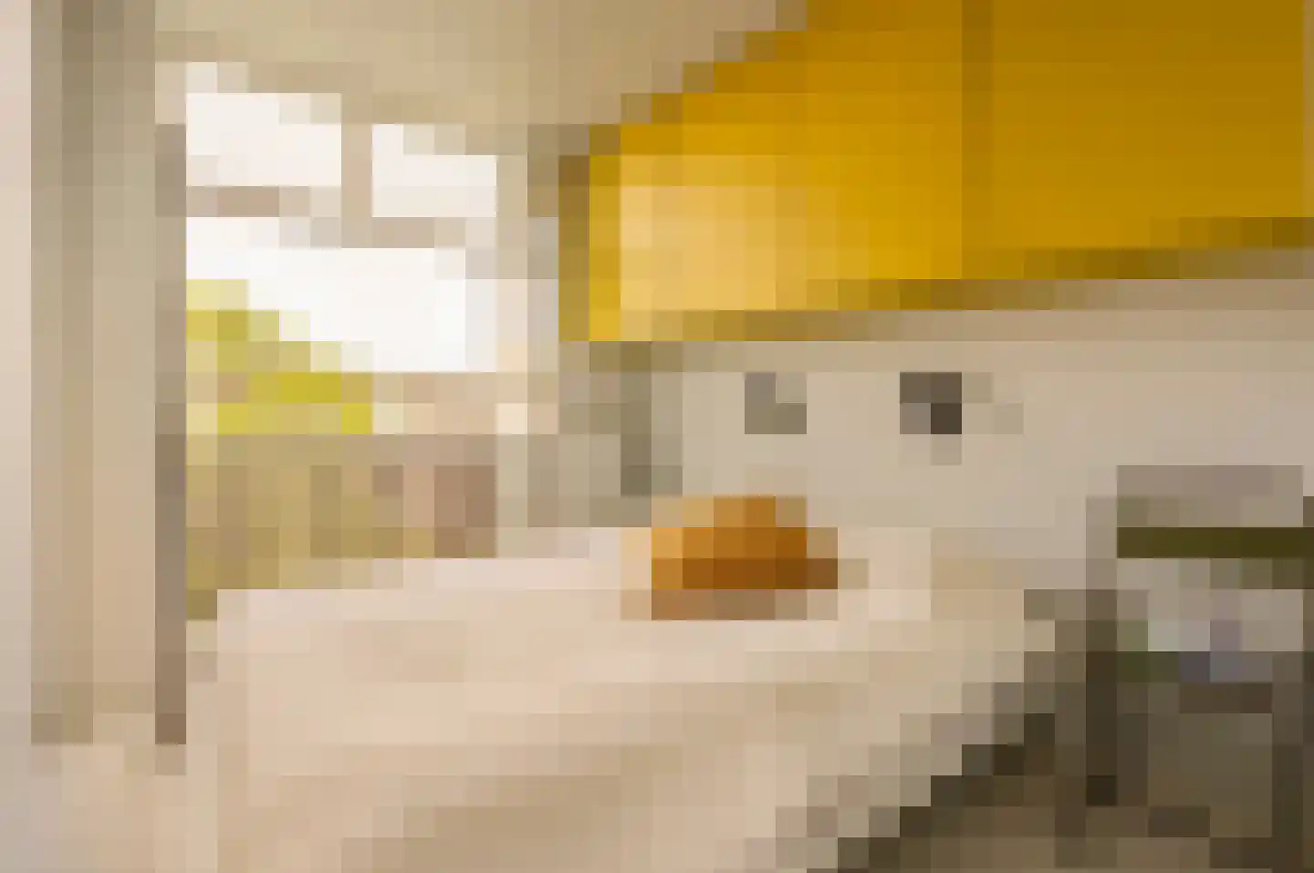 Louise de Colignystraat 50 1 Amsterdam thumbnail 16