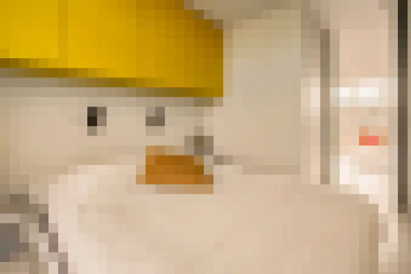 Louise de Colignystraat 50 1 Amsterdam thumbnail 17