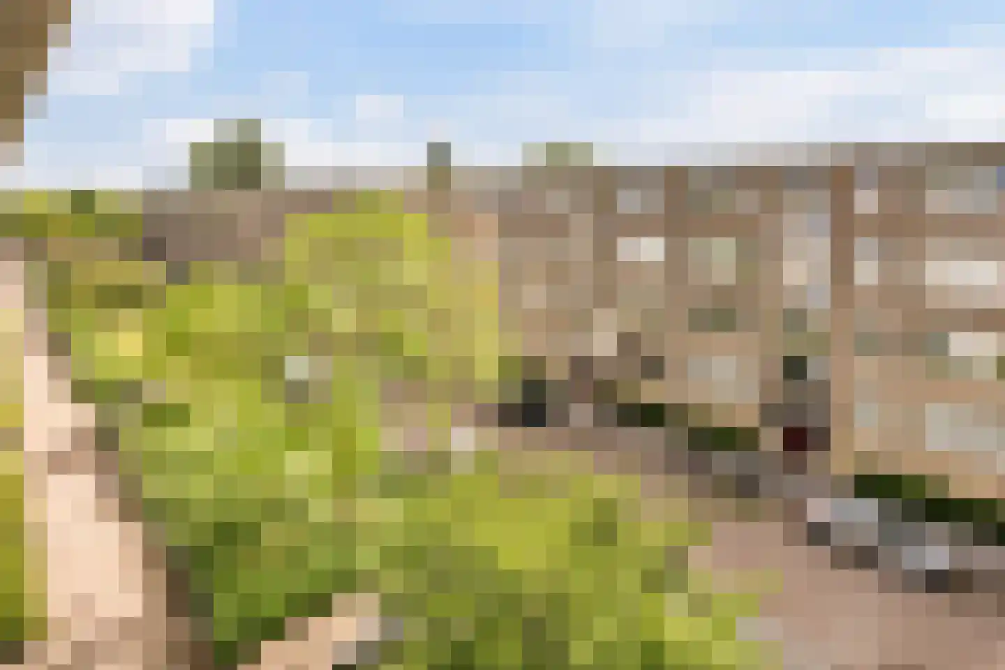 Louise de Colignystraat 50 1 Amsterdam thumbnail 8