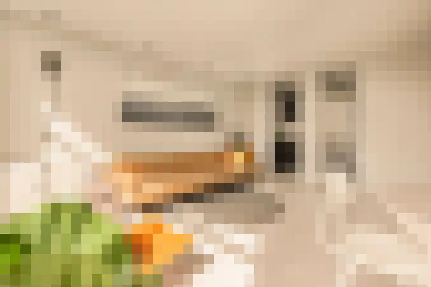 Louise de Colignystraat 50 1 Amsterdam thumbnail 9
