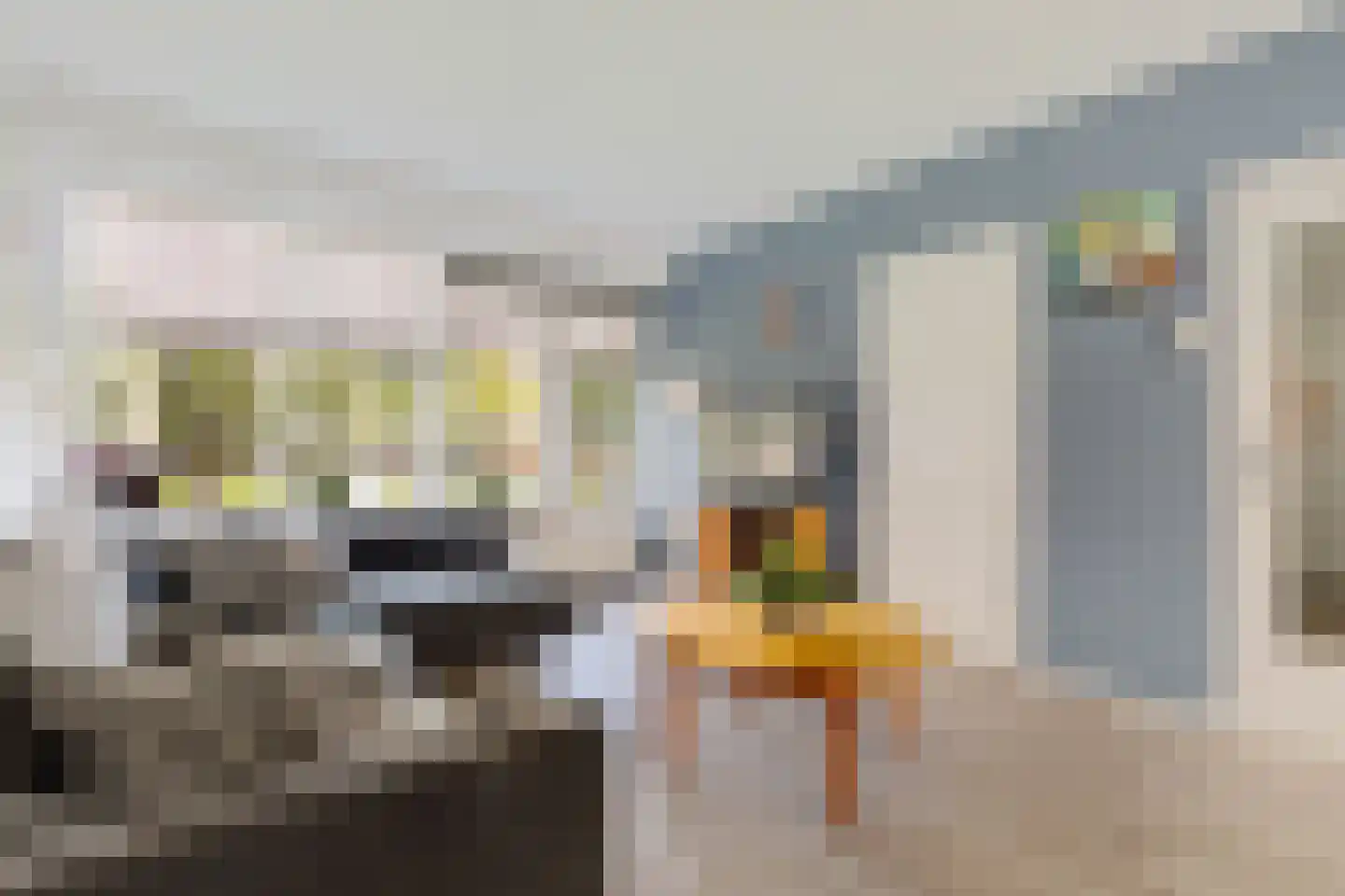 Louise de Colignystraat 56 Alphen aan den Rijn thumbnail 11