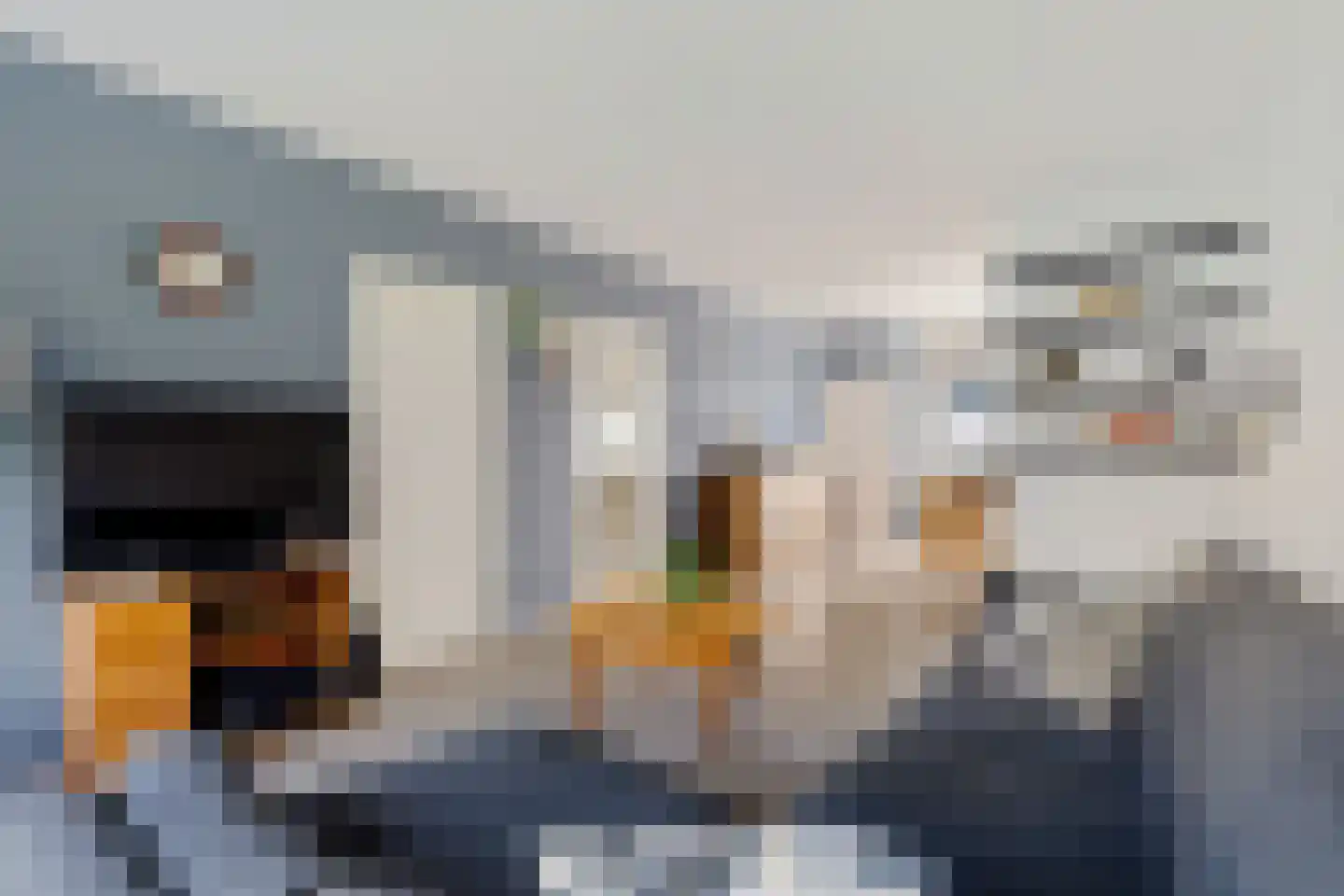 Louise de Colignystraat 56 Alphen aan den Rijn thumbnail 13