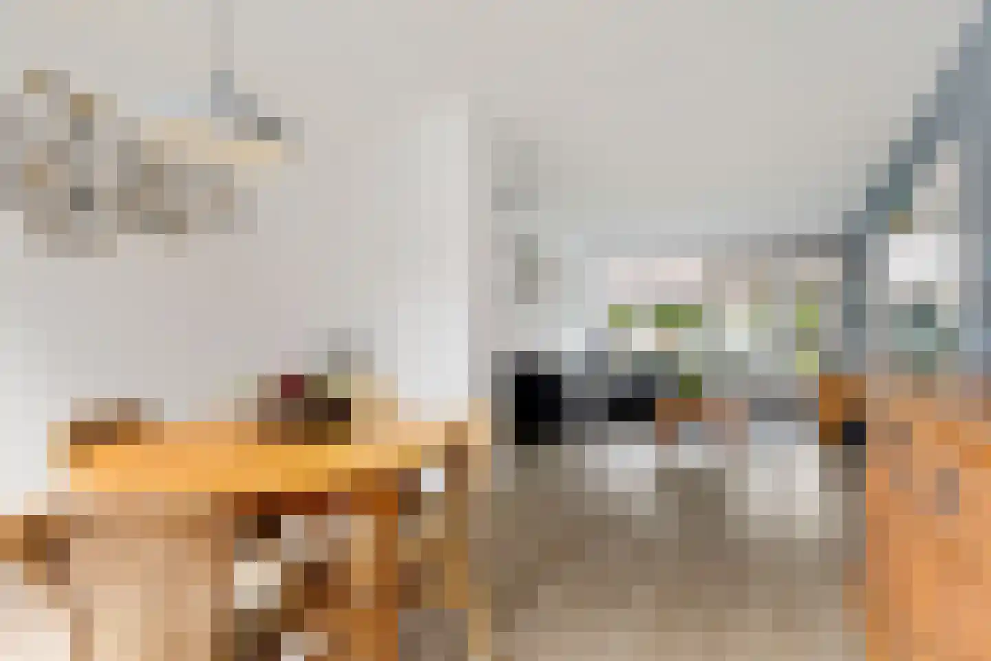 Louise de Colignystraat 56 Alphen aan den Rijn thumbnail 8