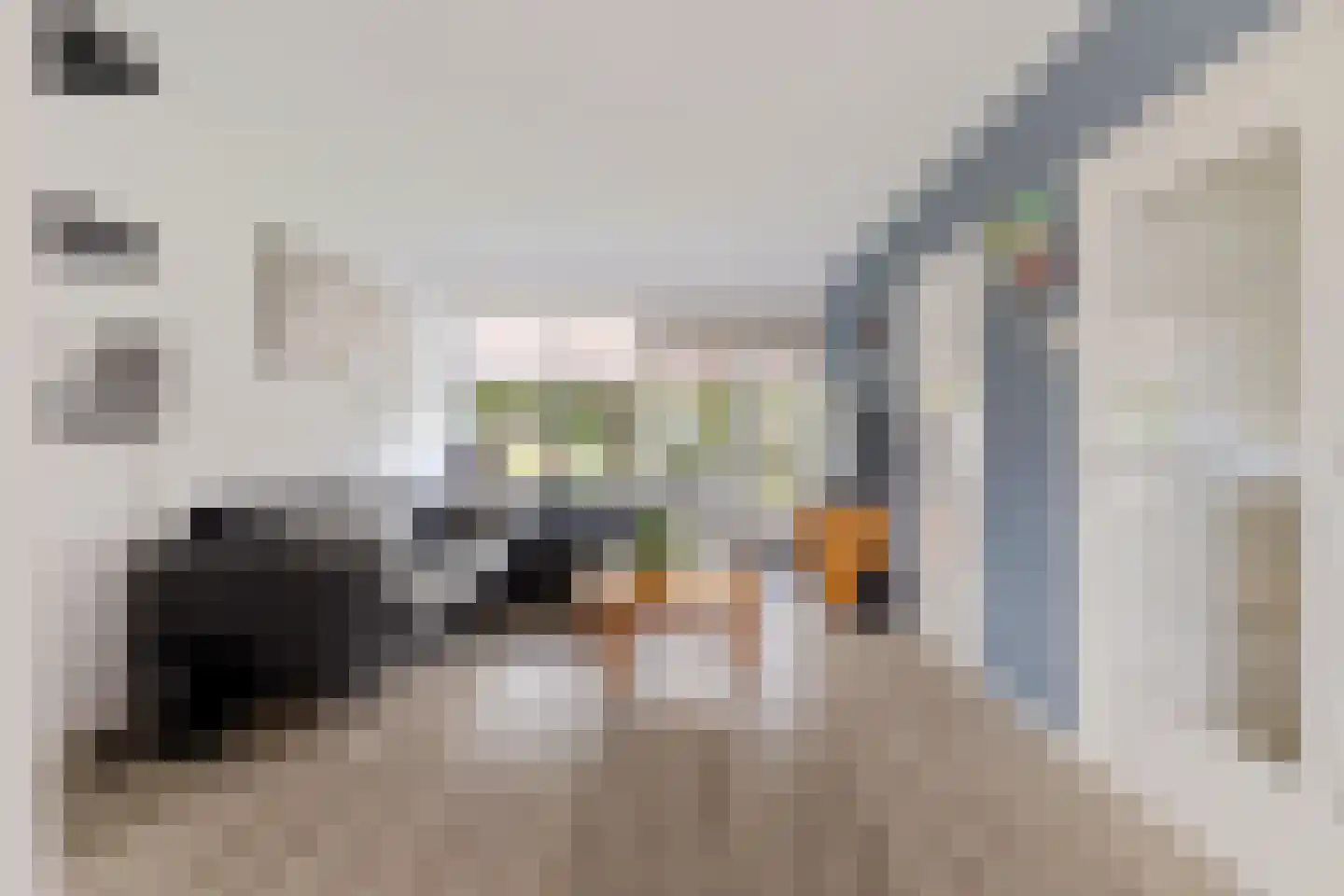 Louise de Colignystraat 56 Alphen aan den Rijn thumbnail 9