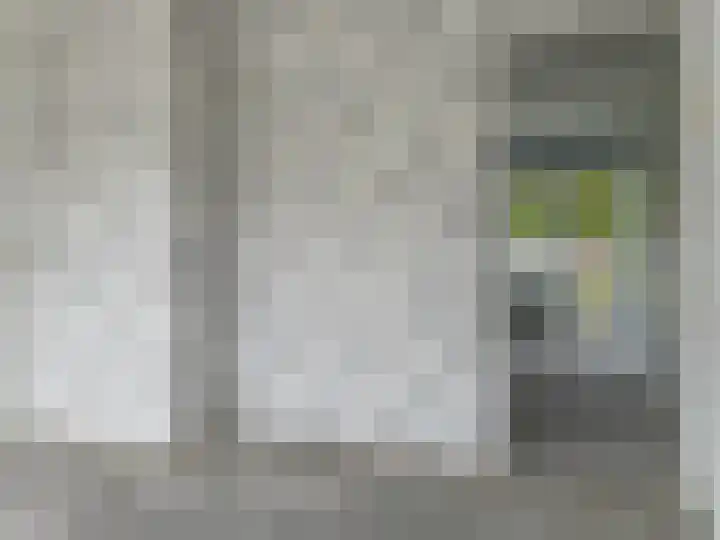 Louise de Colignystraat 68 Alphen aan den Rijn thumbnail 10