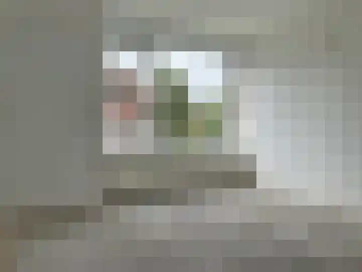 Louise de Colignystraat 68 Alphen aan den Rijn thumbnail 9