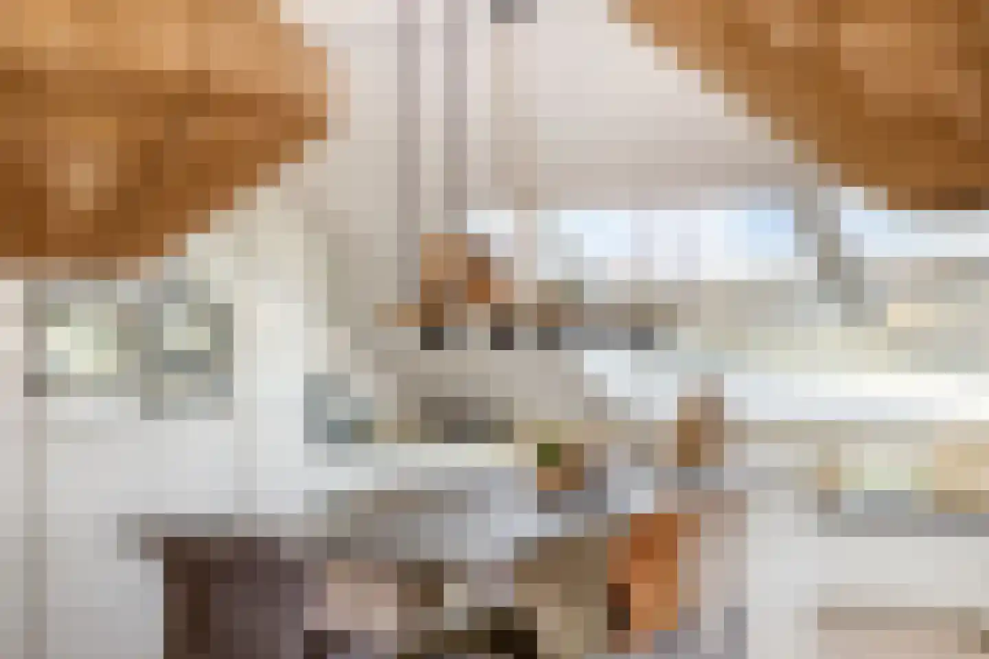 Louise Hengeveltlaan 27 Driel thumbnail 24