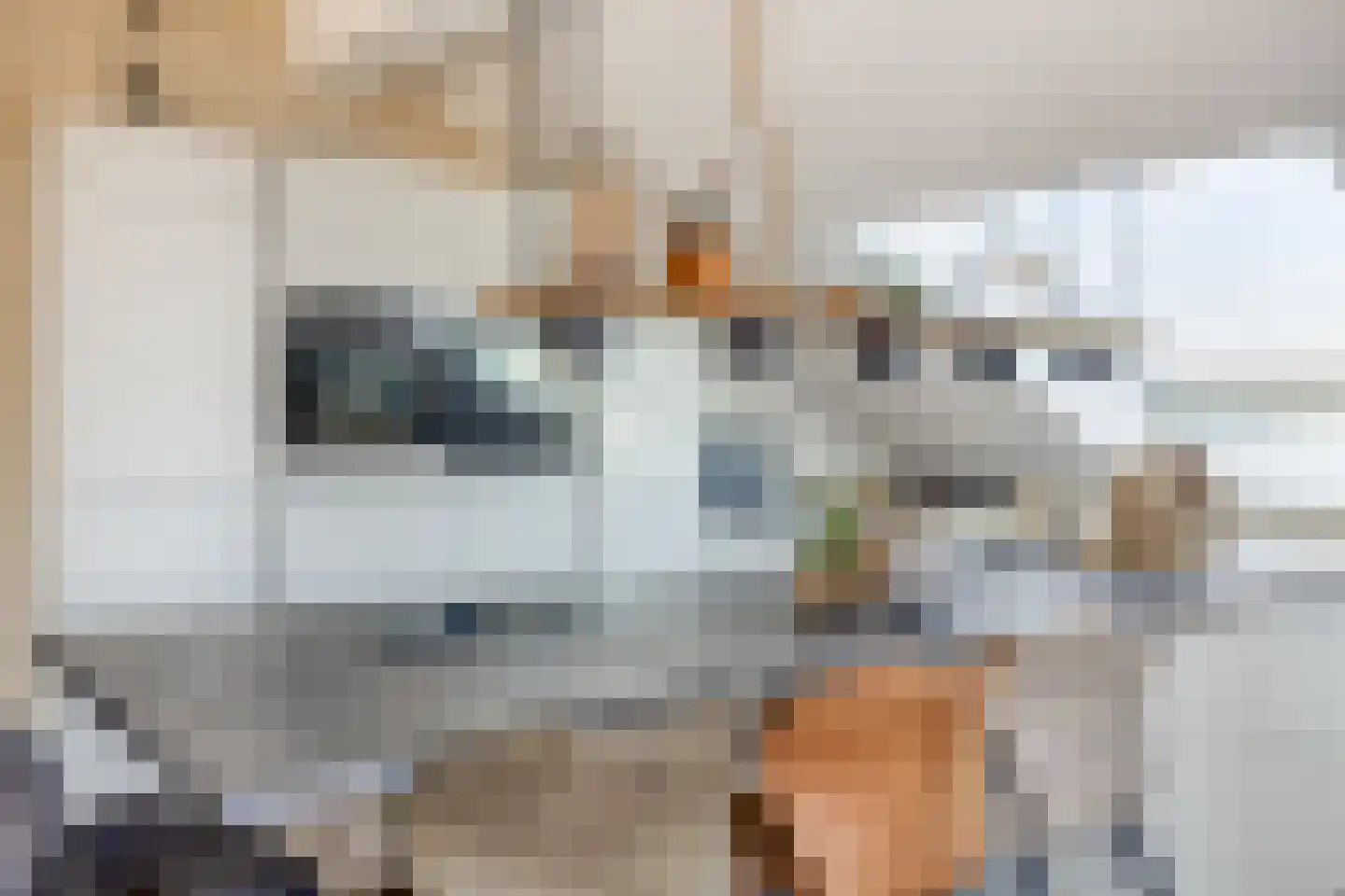 Louise Hengeveltlaan 27 Driel thumbnail 25