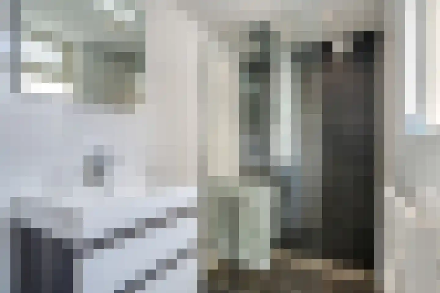 Louise Henriettestraat 10 Groningen thumbnail 20