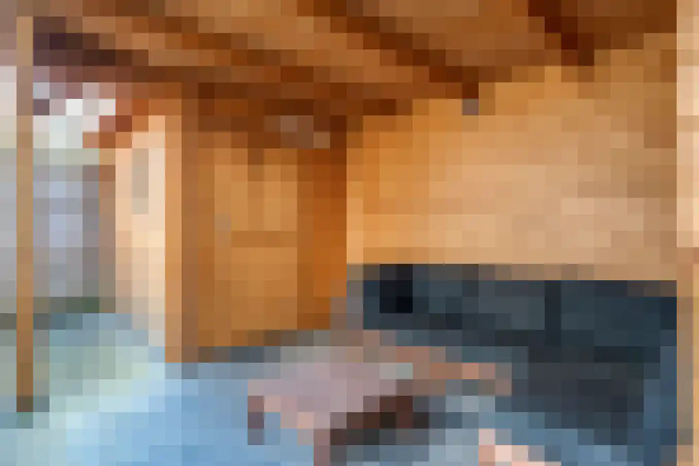 Louise Henriettestraat 10 Groningen thumbnail 27