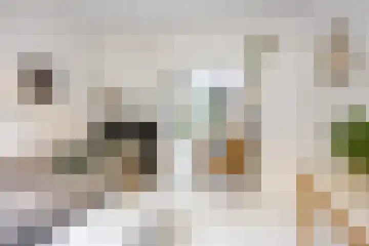 Louise Henriettestraat 13 Groningen thumbnail 11
