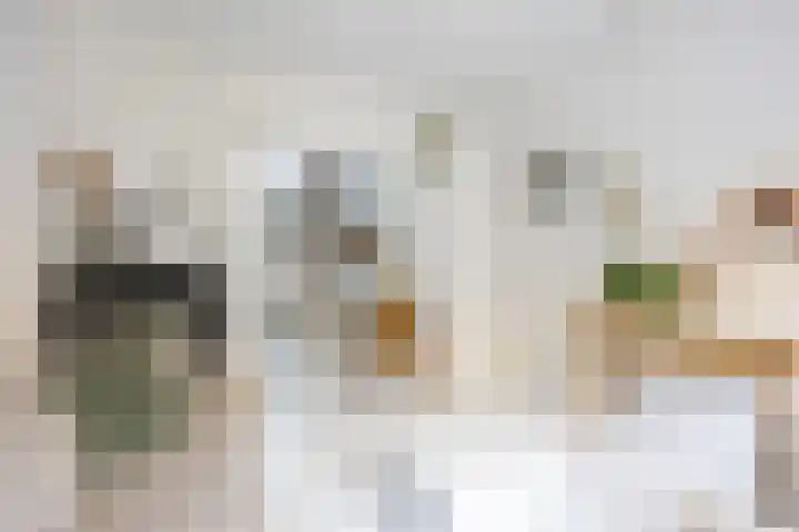 Louise Henriettestraat 13 Groningen thumbnail 12