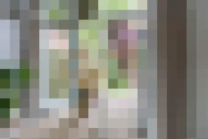 Louise Henriettestraat 13 Groningen thumbnail 17