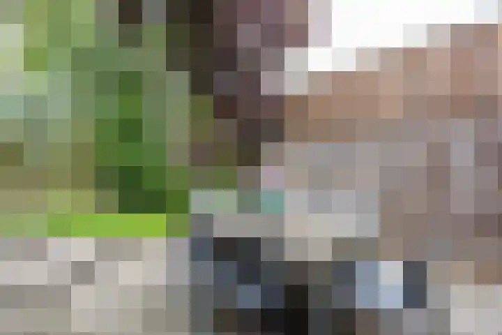 Louise Henriettestraat 13 Groningen thumbnail 18