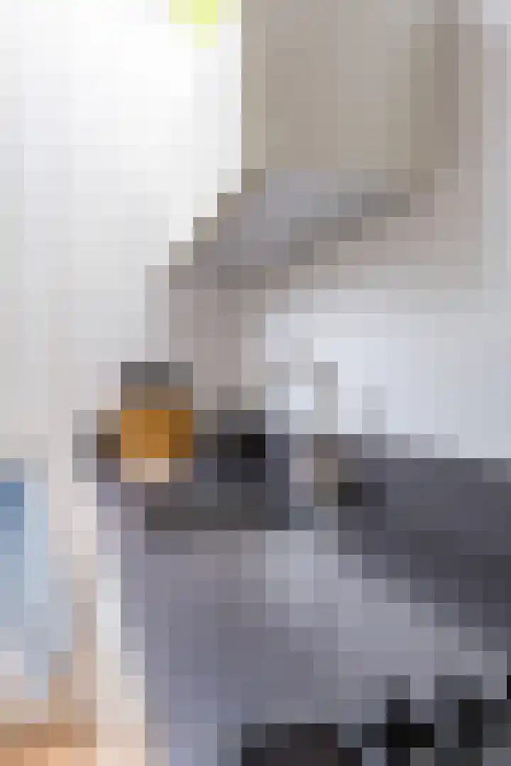 Louise Henriettestraat 13 Groningen thumbnail 19