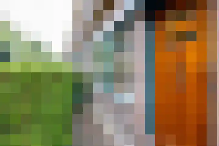 Louise Henriettestraat 13 Groningen thumbnail 32