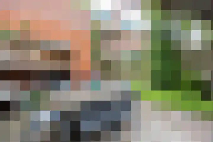 Louise Henriettestraat 13 Groningen thumbnail 33